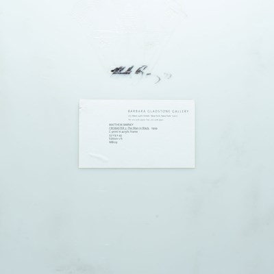 Lot 11 - Matthew Barney (1967) North America